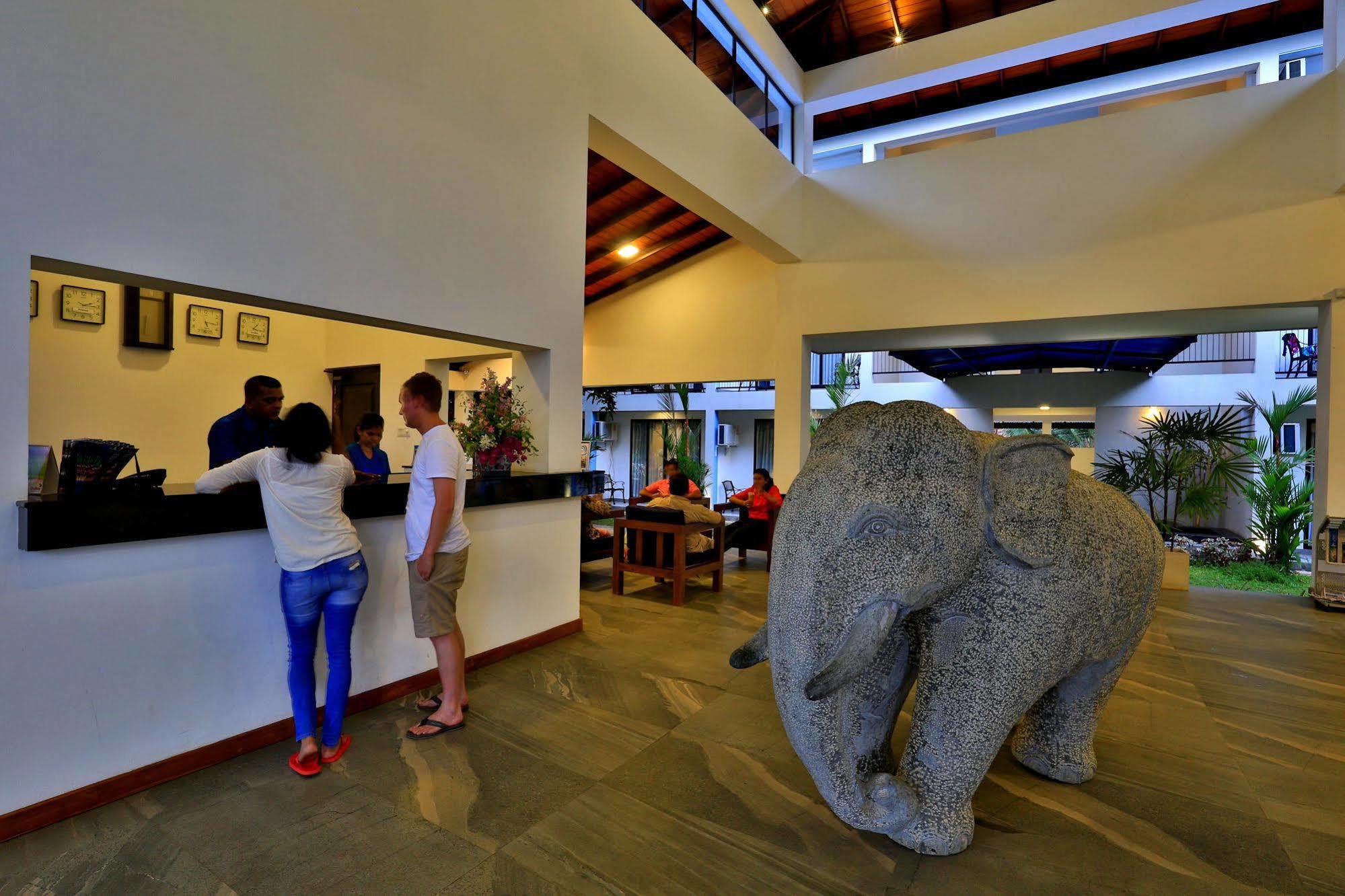 The Blue Wave Hotel Vịnh Arugam Ngoại thất bức ảnh